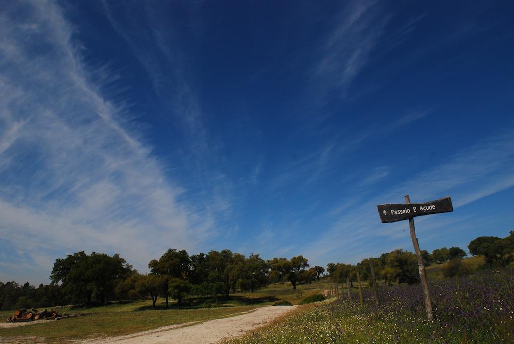Villa Monte Do Areeiro Coruche Esterno foto